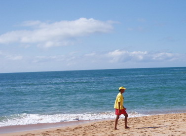 Mitch Bucchanam ha emigrado al Magreb sin sus chicas.jpg